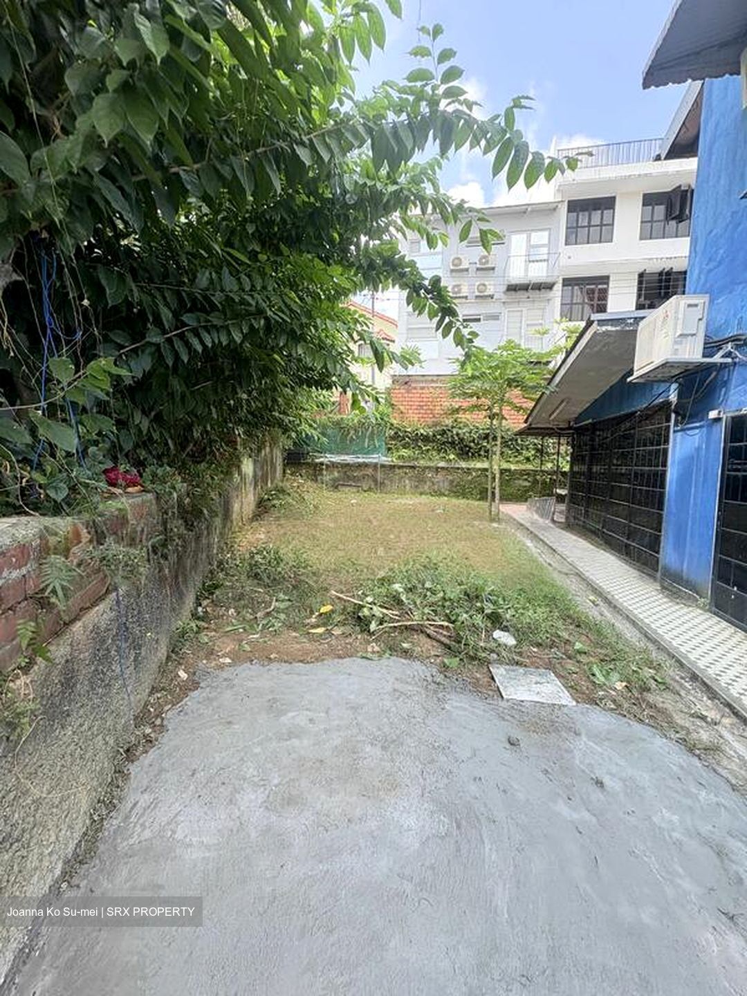 Parry Green (D19), Terrace #499750851